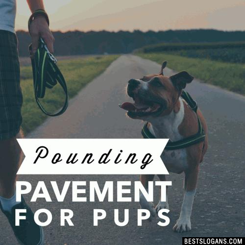 Pounding Pavement for Pups