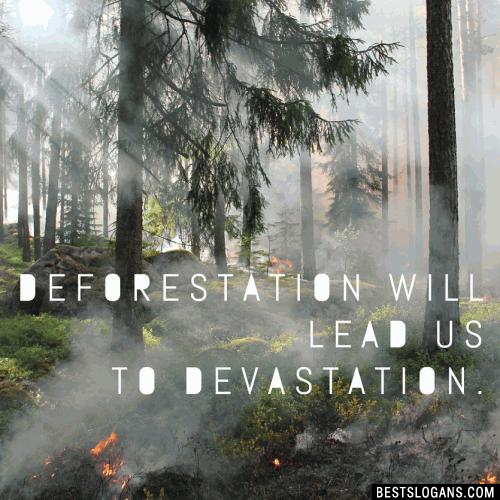 Deforestation will lead us to devastation.