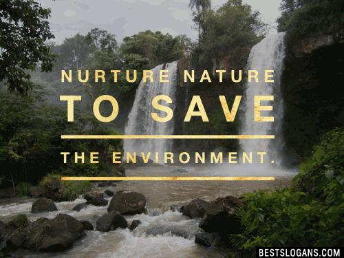 Nurture nature to save the environment.