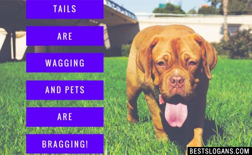 Tails are wagging and pets are bragging!