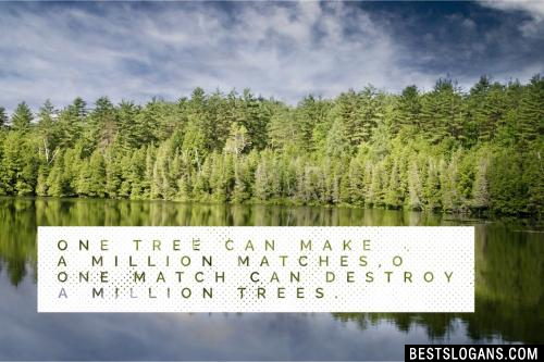 One tree can make a million matches,One match can destroy a million trees.