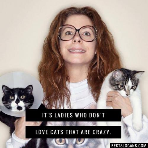 It's ladies who don't love cats that are crazy.