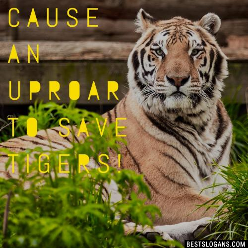 Cause an upROAR to save tigers!
