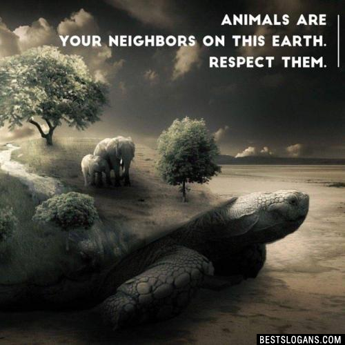 Animals are your neighbors on this earth. Respect them.