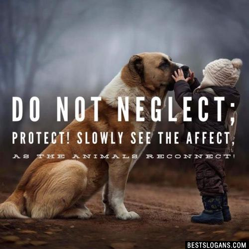 Do not neglect; protect! Slowly see the affect, as the animals reconnect!