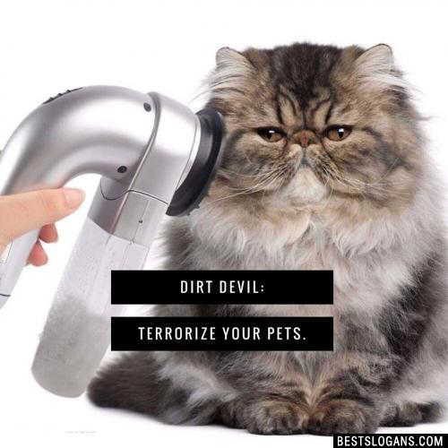 Dirt Devil: Terrorize your pets.