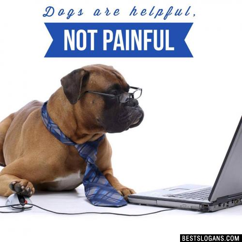 Dogs are helpful, not painful