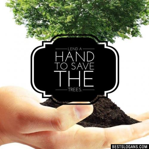Lend a hand to save the trees.