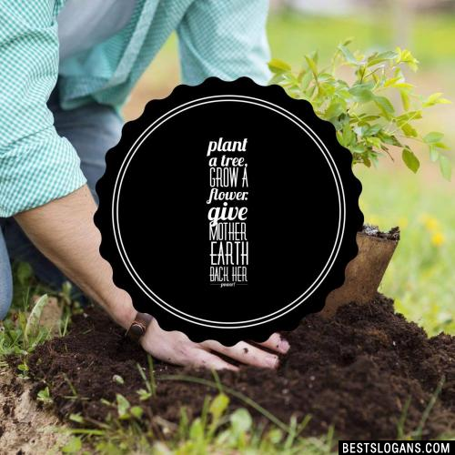 Plant a tree, grow a flower. Give Mother Earth back her power!