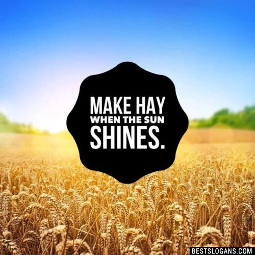 Make hay when the sun shines.