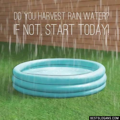 Do you harvest rain water? If not, start today!