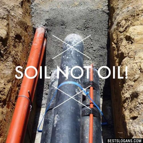  Soil Not Oil!