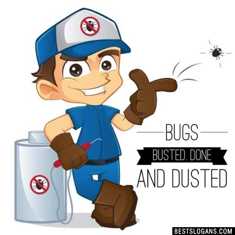 Bugs busted. Done and dusted
