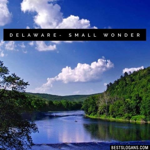 Delaware- Small Wonder 