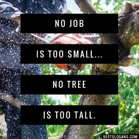 No job is too small... no tree is too tall.