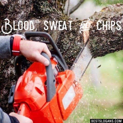 Blood, sweat and chips